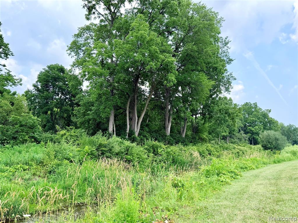 3840 E Dunbar Road, Monroe, MI 48161 — Photo 13