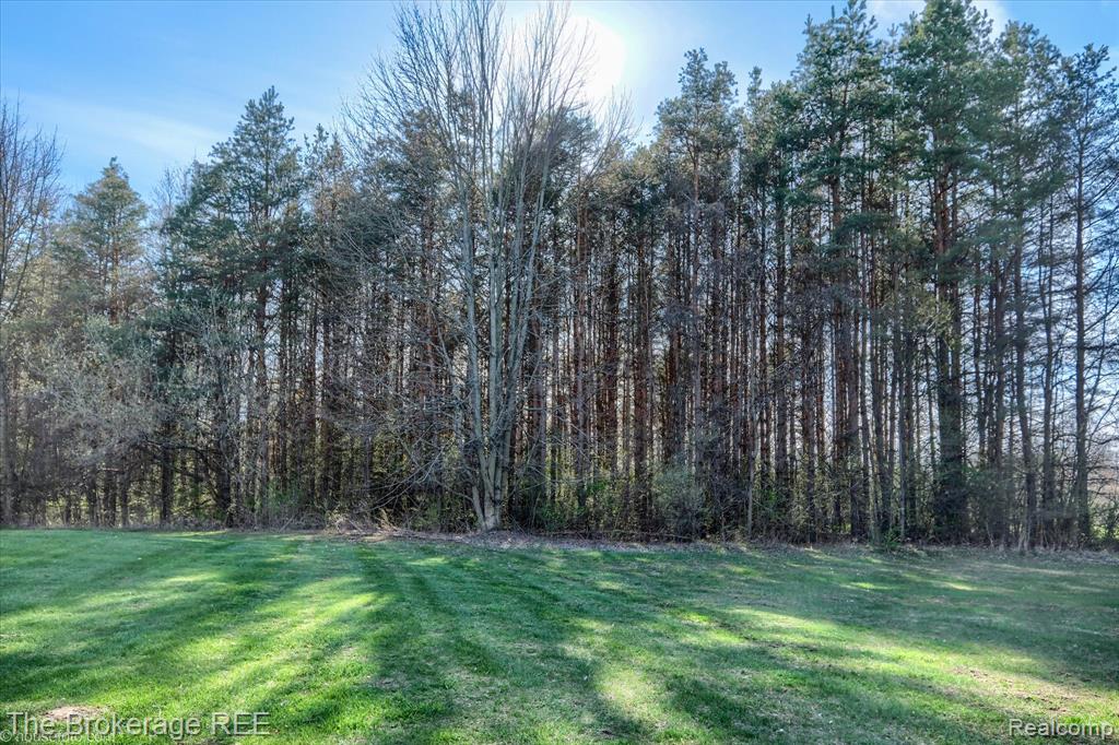 14445 Harris Road, Millington, MI 48746 — Photo 49