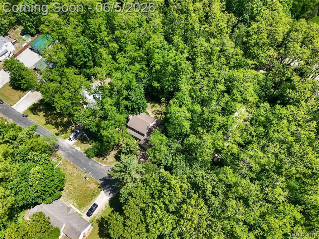15129 Locust Grove Drive, Byron, MI 48418 — Photo 60