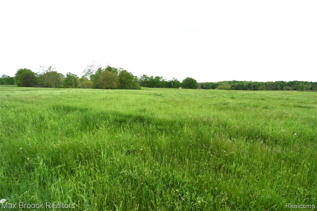 58282 SAVAGE Road, Vandalia, MI 49095 — Photo 50