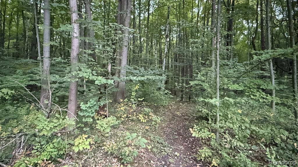 4528 N River Road, Clyde, MI 48049 — Photo 3