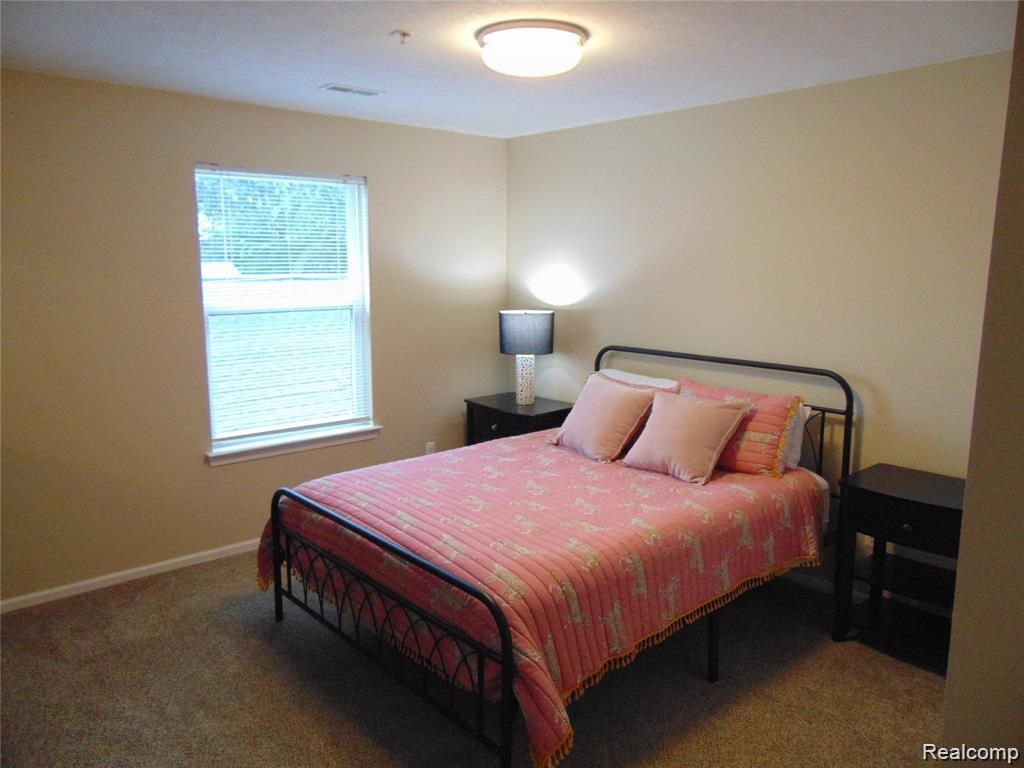 1429 Millbrook Trail, 172, Ann Arbor, MI 48108 — Photo 14