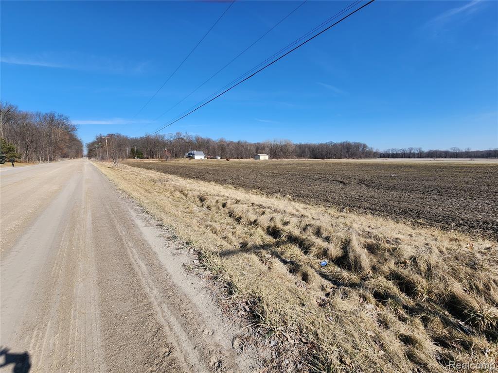 Lot #12 Kunstman Road, Ray, MI 48096 — Photo 13