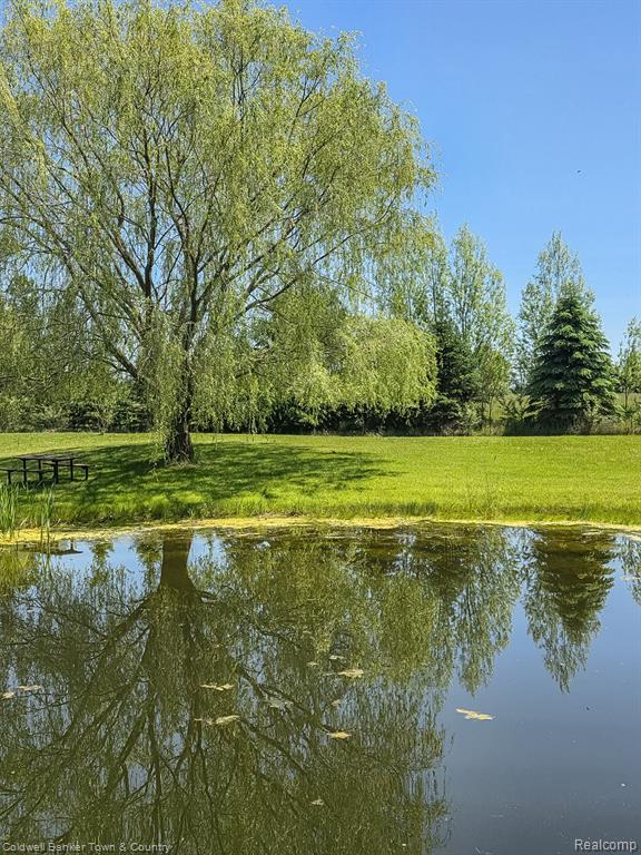 717 N Youngs Road, Attica, MI 48412 — Photo 72