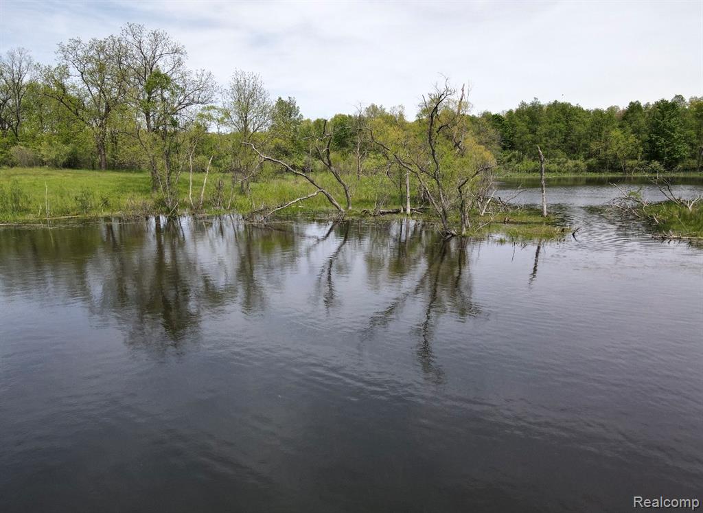 8450 Pepper Road, Holly, MI 48442 — Photo 8