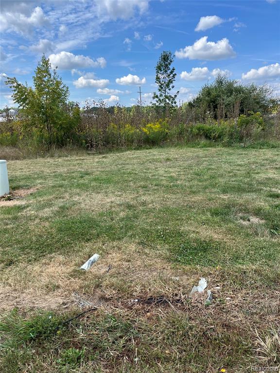 Vacant Land Grand River Avenue, Handy, MI 48836 — Photo 2