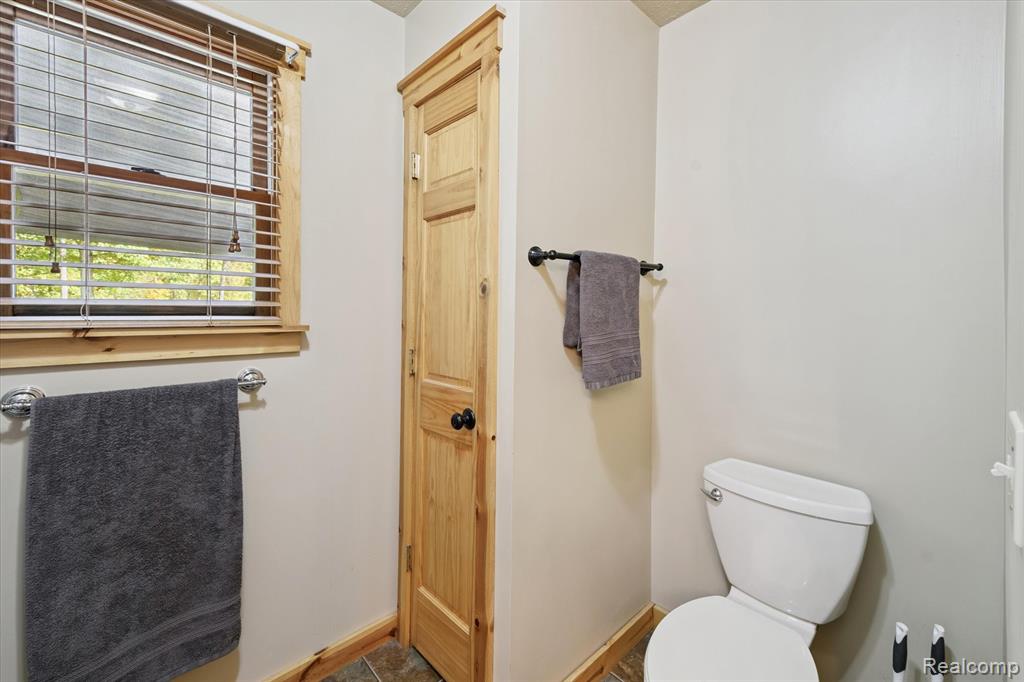 612 W Bath Road, Morrice, MI 48857 — Photo 32