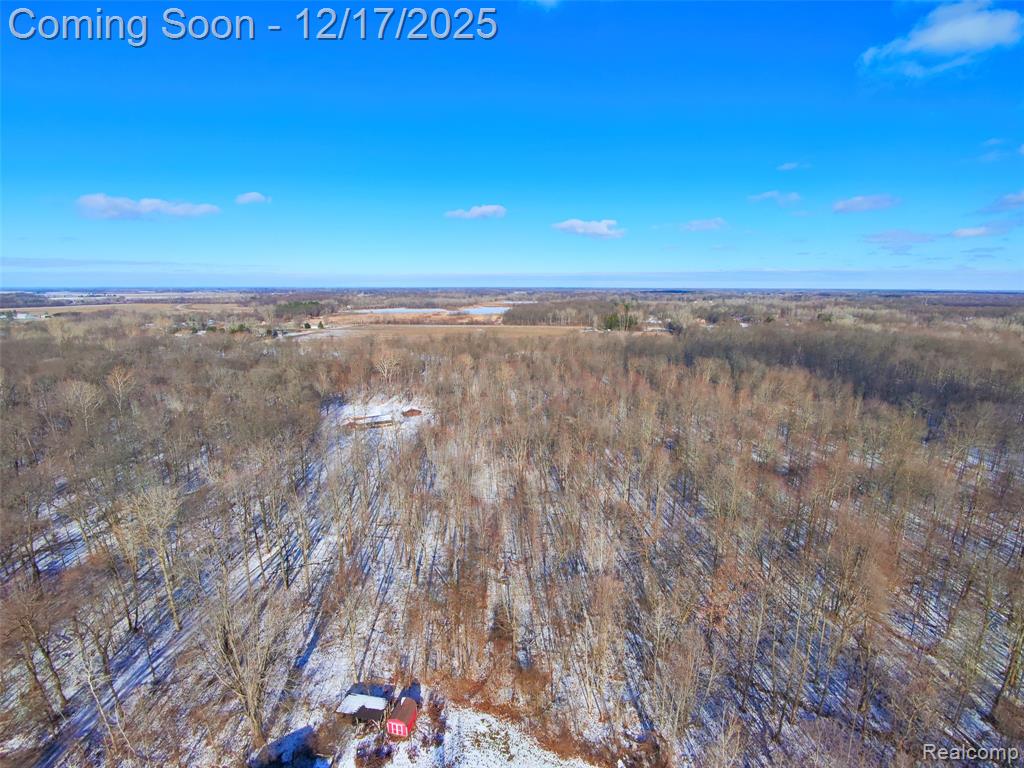 4870 W Samaria Road, Temperance, MI 48182 — Photo 20