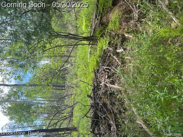 4148 Blue Vista Drive, Evart, MI 49631 — Photo 26