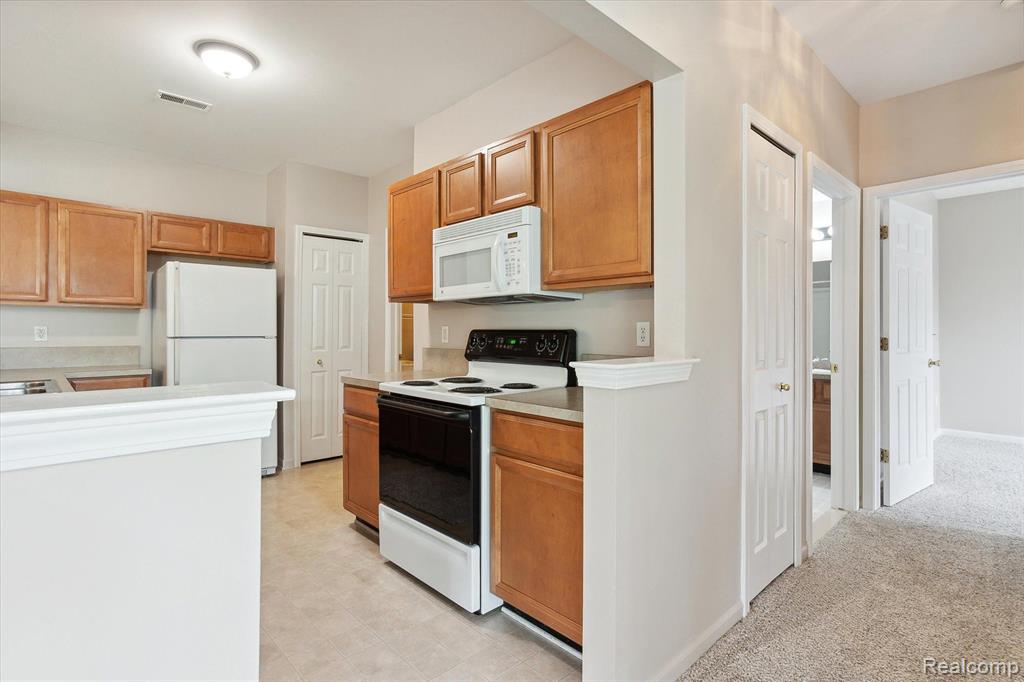 16699 CARRIAGE Way, Northville, MI 48168 — Photo 14