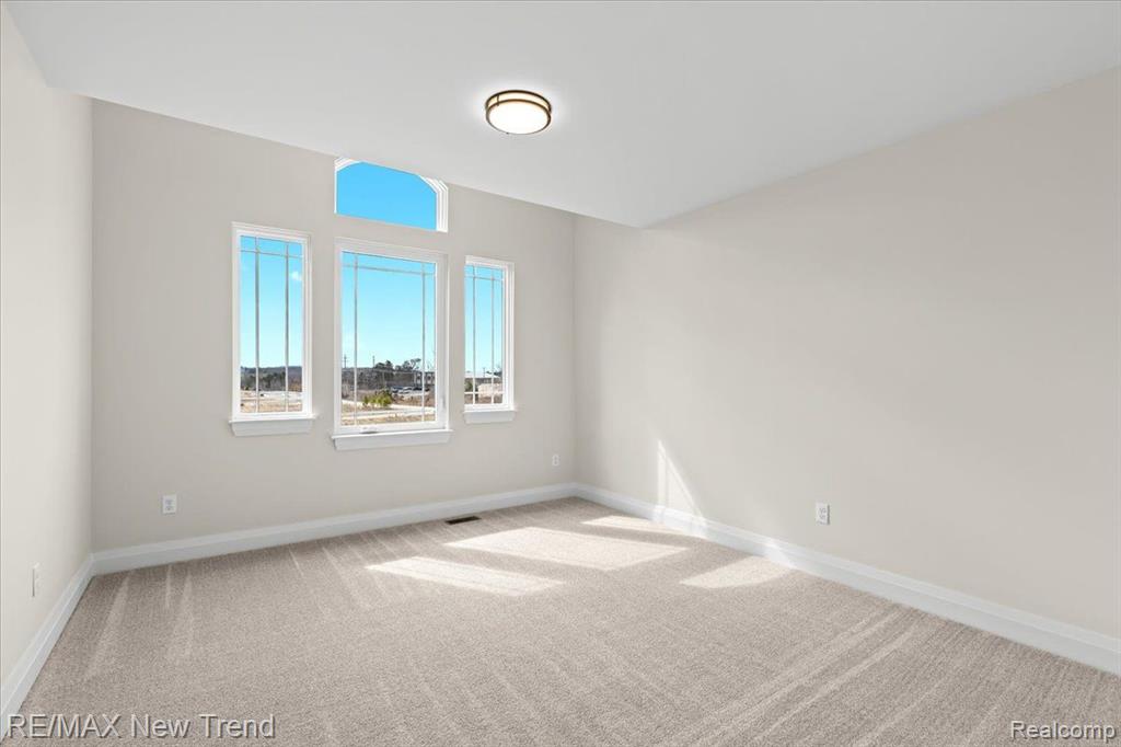 209 MOUNTAIN VIEW LANE, Milford, MI 48381 — Photo 21