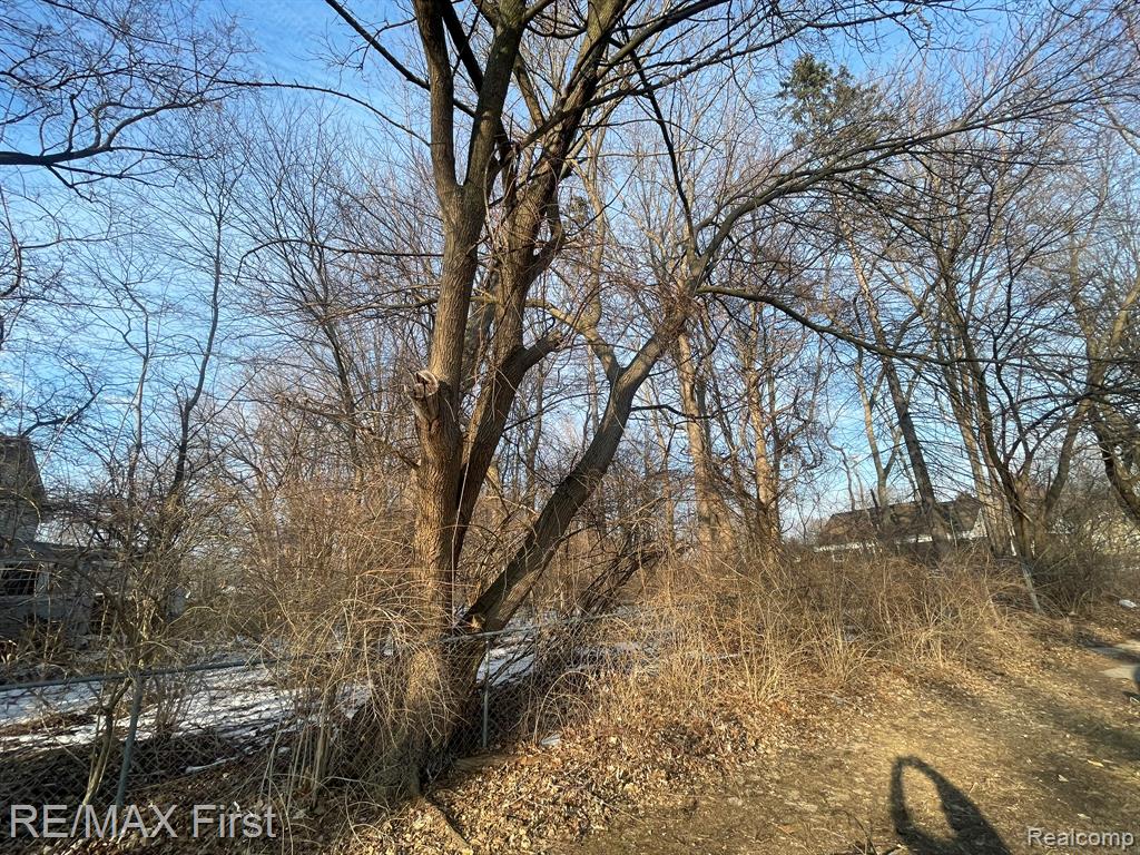 GLENWOOD GLENWOOD Street, Clinton Twp, MI 48035 — Photo 5
