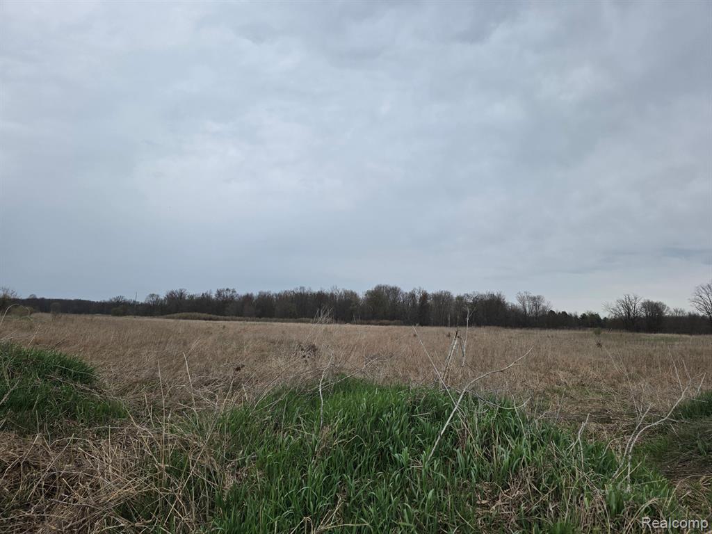 6424 SHERWOOD PAR C F-2 Road, Fowlerville, MI 48836 — front exterior