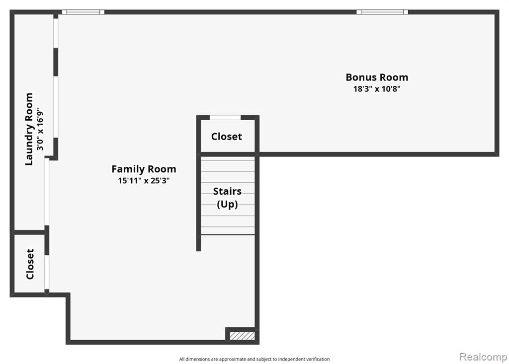 1564 Chelsea Circle, Howell, MI 48843 — Photo 41