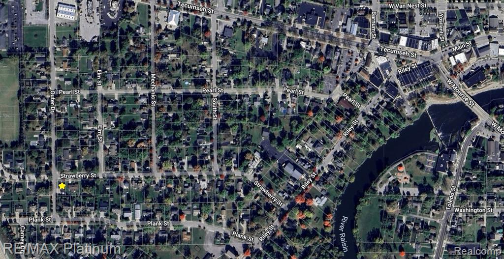 971 Strawberry Street, Dundee, MI 48131 — Photo 21