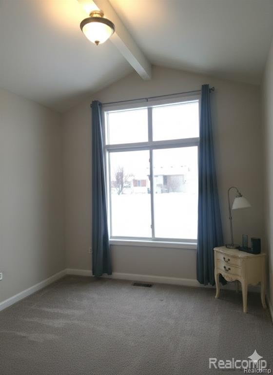 56508 Topaz Drive, Macomb, MI 48042 — Photo 13