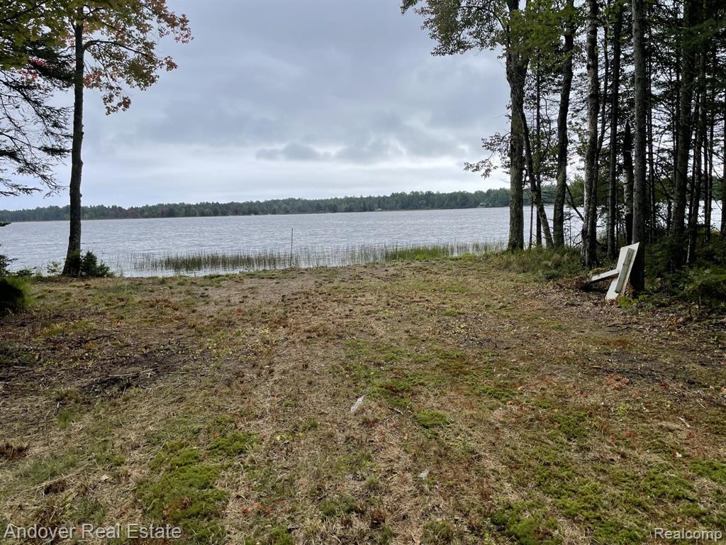 Lot# 11 Western, MI — Photo 8