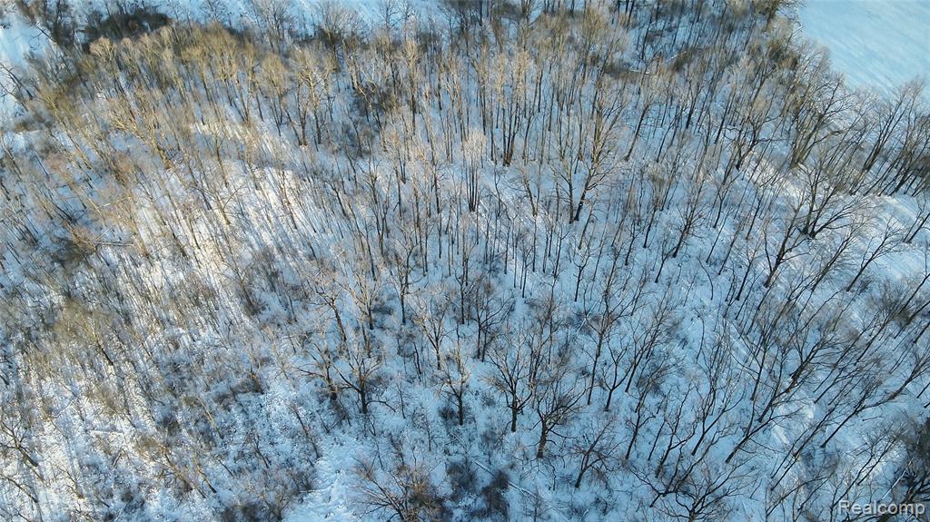 v/l W Us-12 Highway, Manchester, MI 48158 — Photo 24