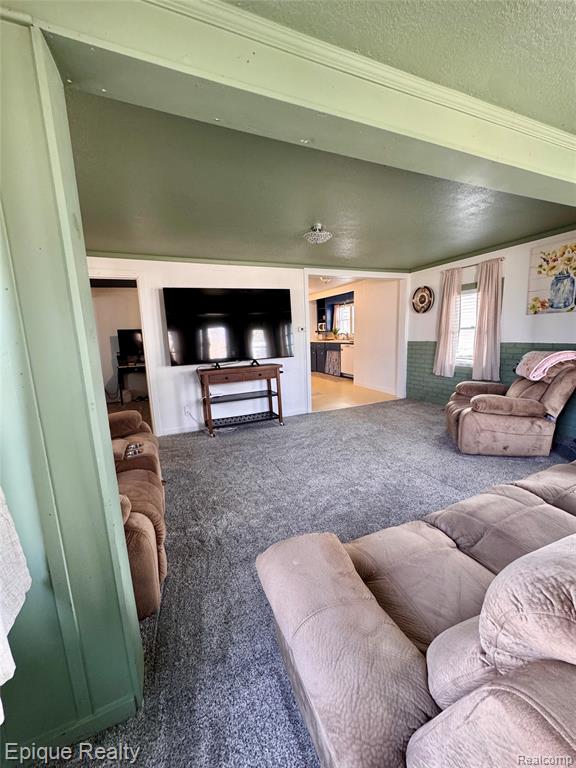 324 E Center Street, Petersburg, MI 49270 — Photo 20