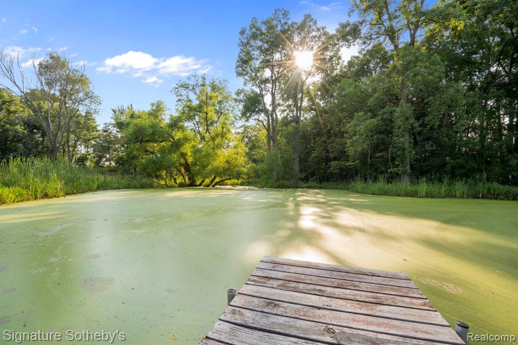 5557 Cobble Lane, Dexter, MI 48130 — Photo 83