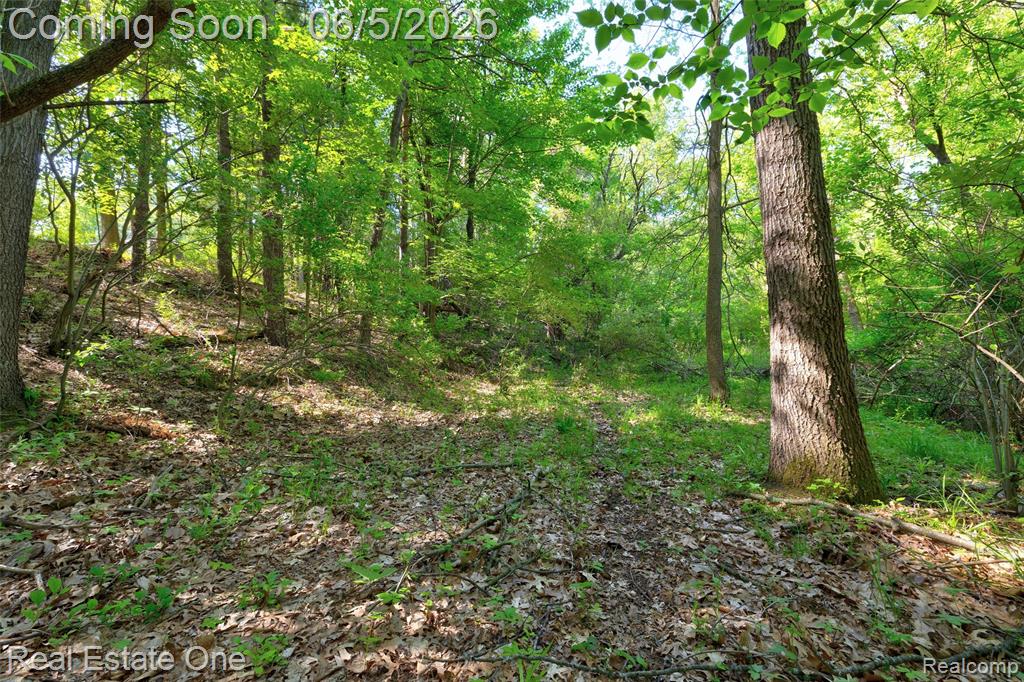 709 Bald Eagle Lake Road, Ortonville, MI 48462 — Photo 33