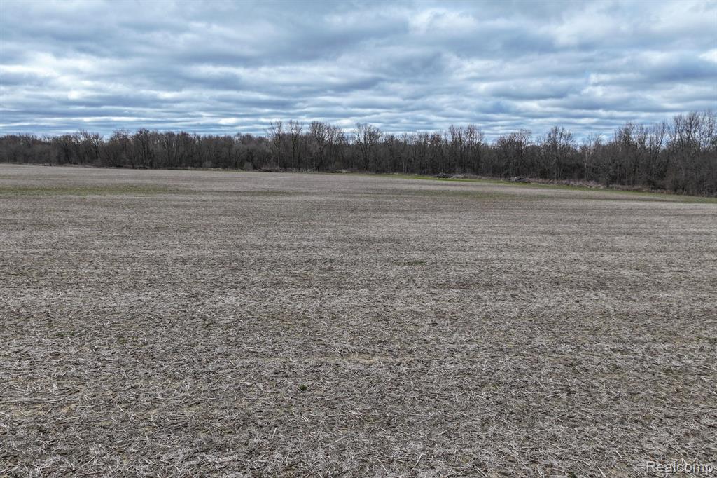 VL 28.4 Acres Goodall Road, Durand, MI 48429 — Photo 6