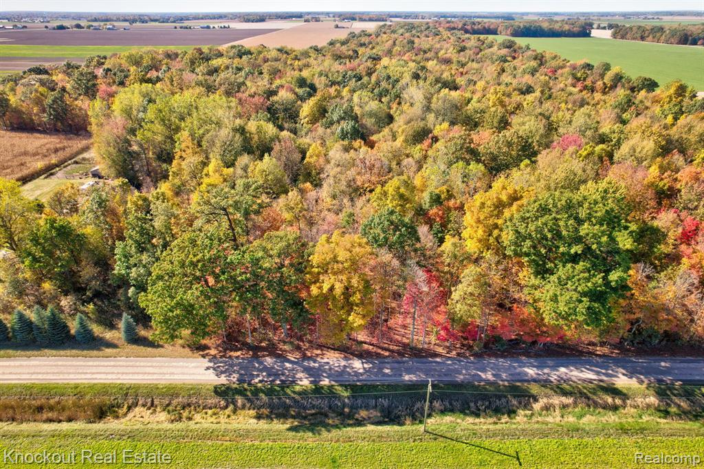 4000 S Reese Road, Frankenmuth, MI 48734 — Photo 5