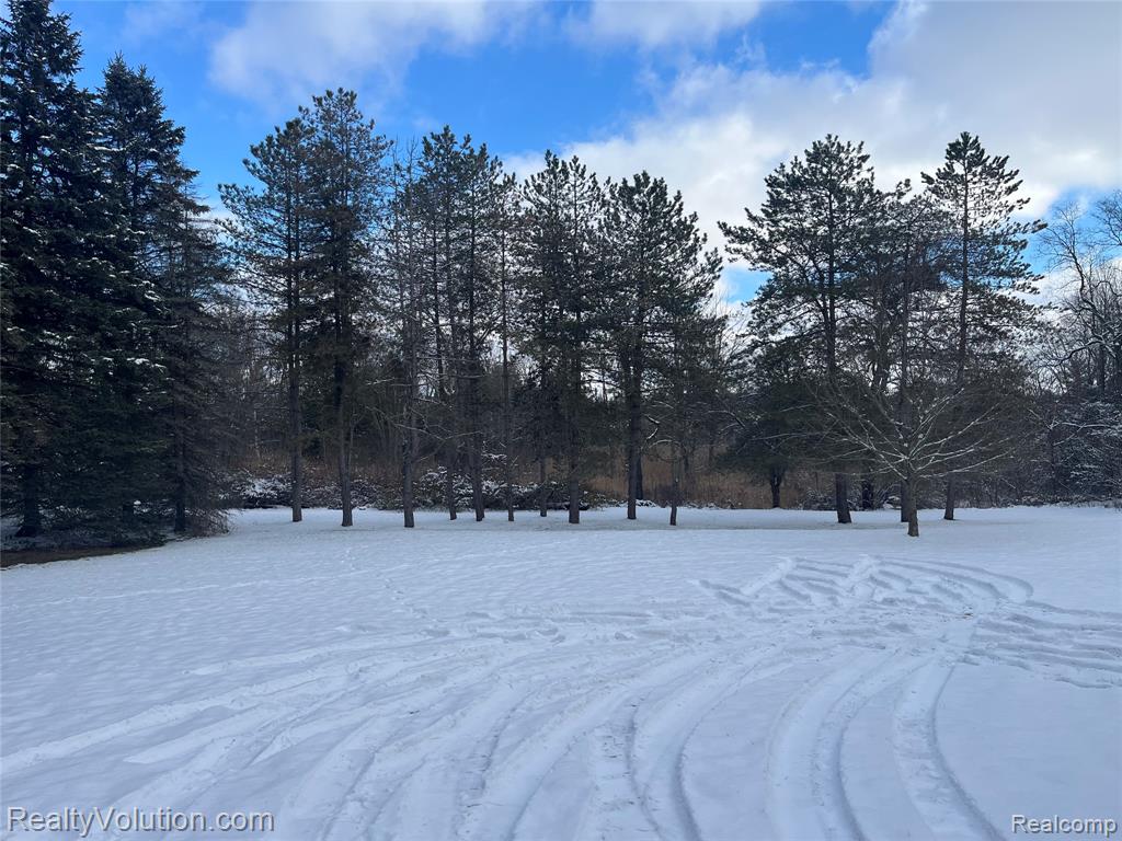 1637 S Lake Pleasant Road, Attica, MI 48412 — Photo 28