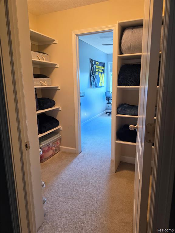 16118 Jeff Court, Grand Ledge, MI 48837 — Photo 58