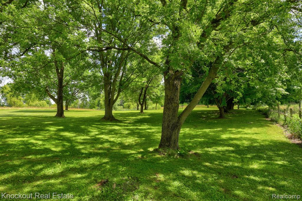 4585 Birch Run Road, Millington, MI 48746 — Photo 43