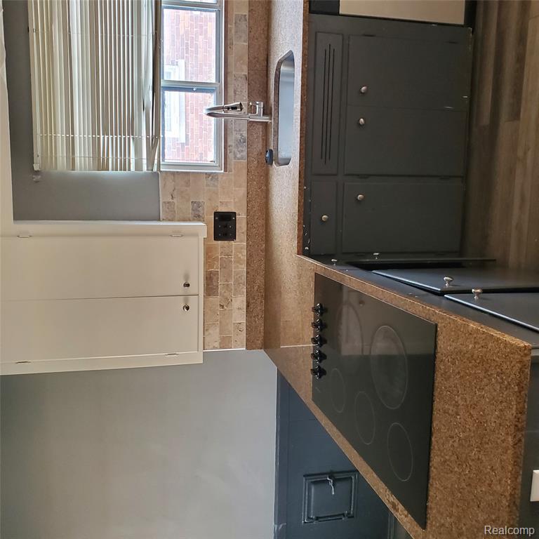 16214 Shaftsbury Avenue, Detroit, MI 48219 — Photo 9
