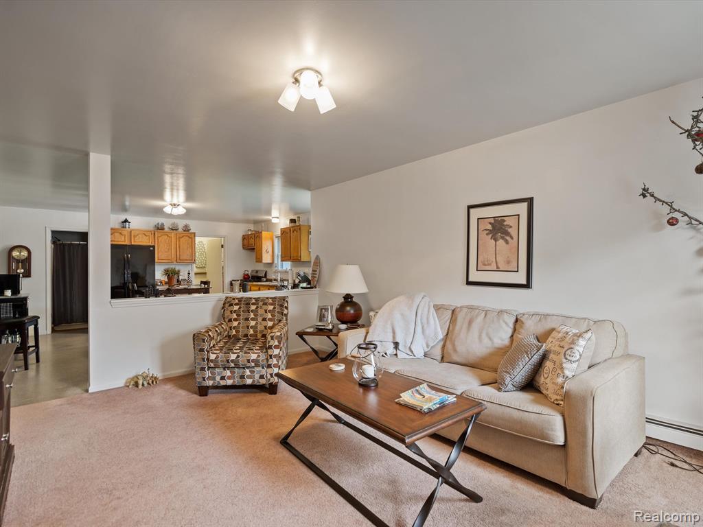 8621 LAKESHORE Road, Lexington, MI 48450 — Photo 9