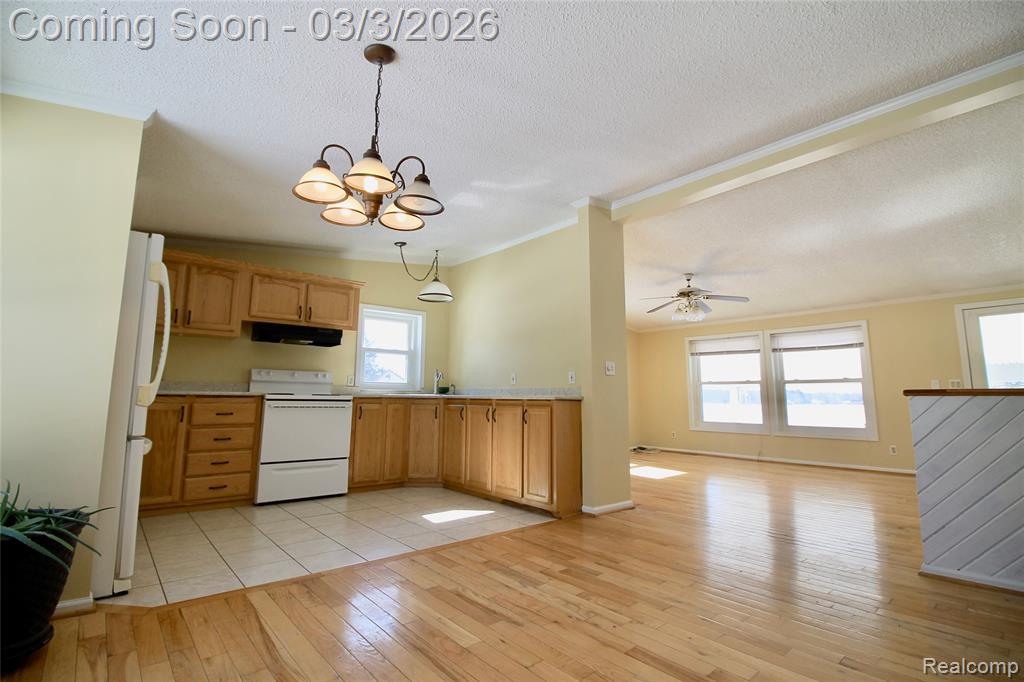 11250 S New Lothrop Road, Durand, MI 48429 — Photo 3