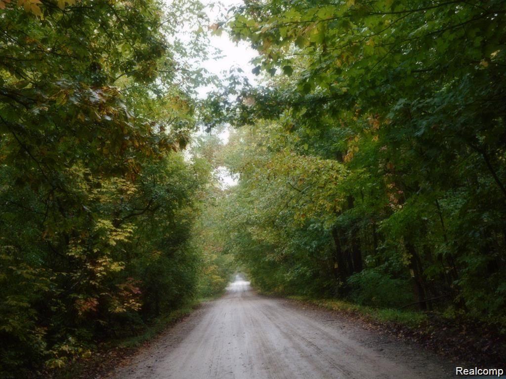6400 WARREN Road - Photo 5
