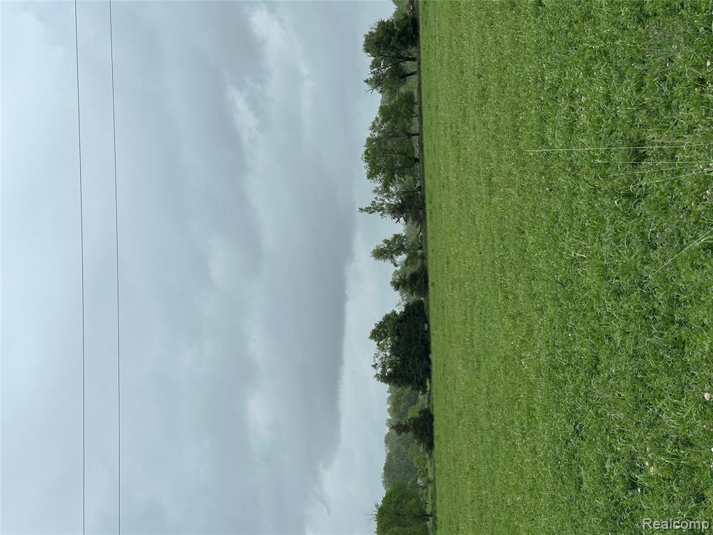 Parcel 2 Cedar Lake Road, Howell, MI 48843 — Photo 2