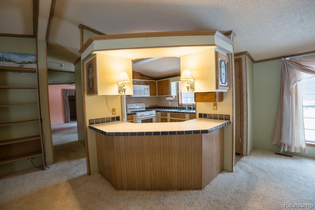 4650 SIMONELLI Road, Whitehall, MI 49461 — Photo 10