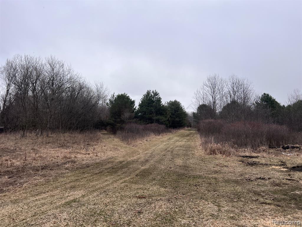 VL Washington Street, Perry, MI 48872 — Photo 2