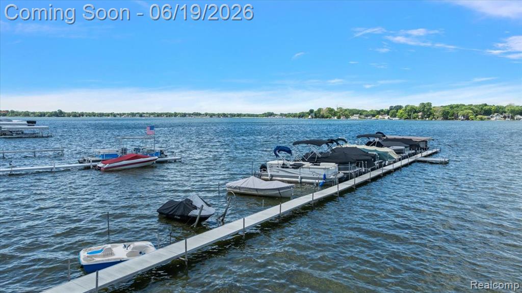 11387 Mart Road, Whitmore Lake, MI 48189 — Photo 19