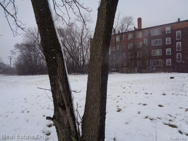 2691 ROCHESTER Street, Detroit, MI 48206 — Photo 8