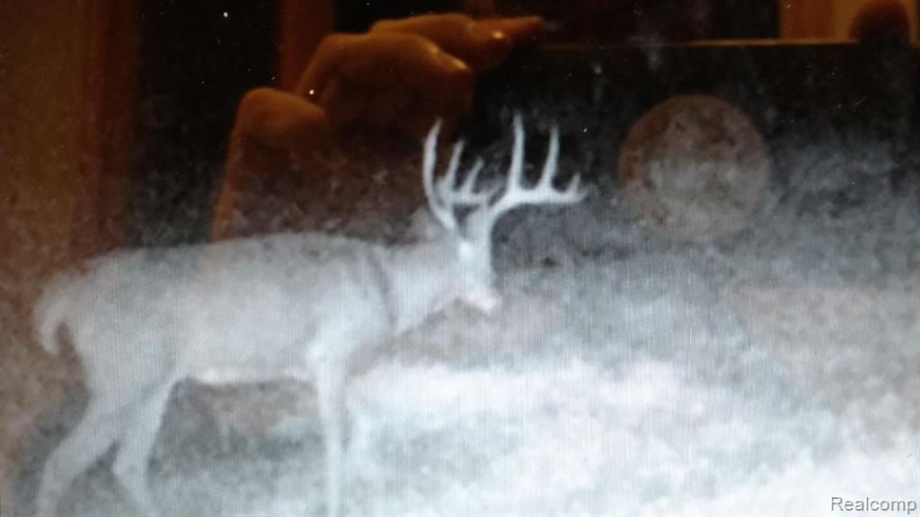V/L BLAKE Road, Jackson, MI 49201 — Photo 98