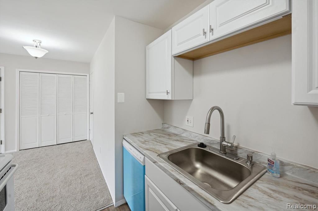 8719 Meadowbrook Drive, #5, Brighton, MI 48116 — Photo 22