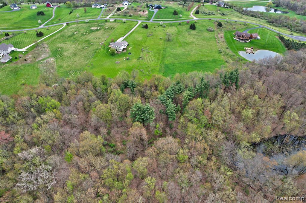 V/L Austin Court, Elba, MI 48446 — Photo 7