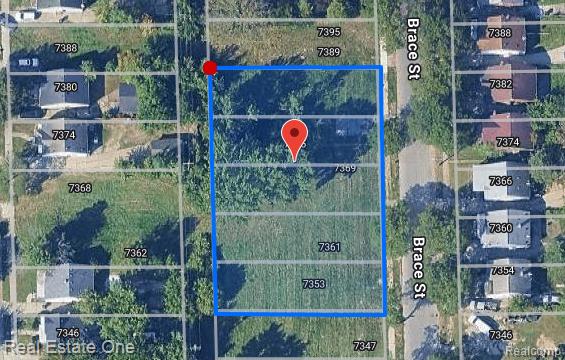 7375 BRACE Street, Detroit, MI 48228 — Photo 30