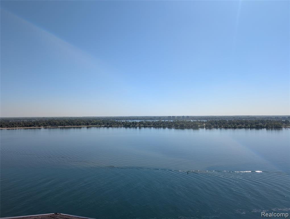 8200 E Jefferson, 1006, Detroit, MI 48214 — Photo 22