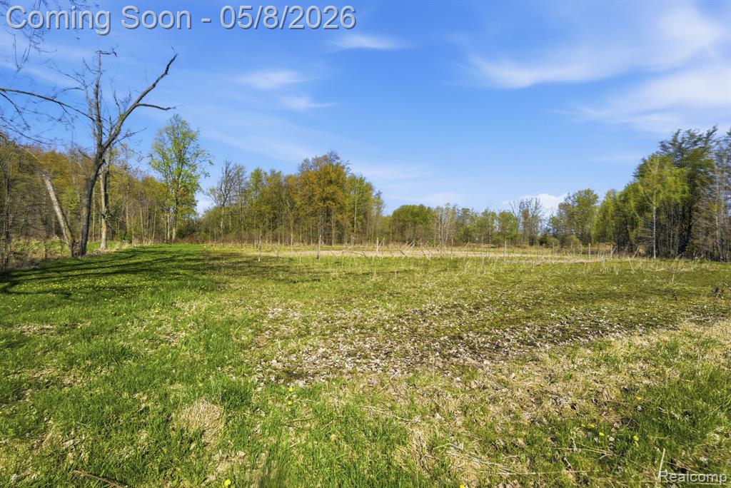2905 S Plain Road, Caro, MI 48723 — Photo 49
