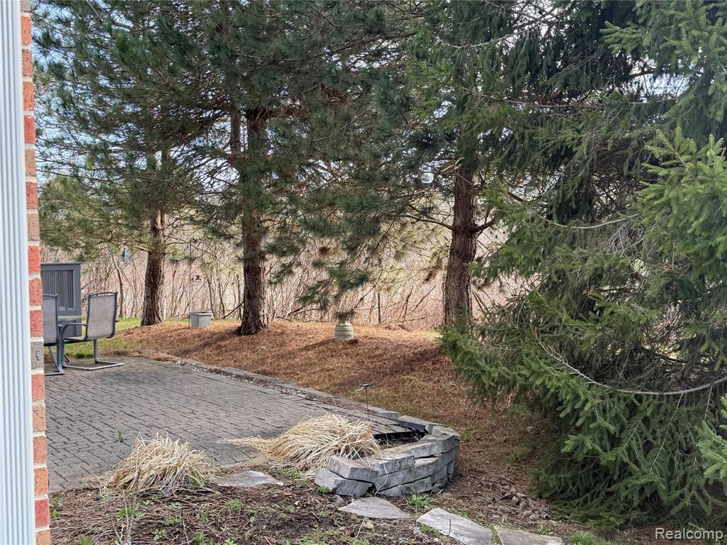 7350 Pine Vista Drive, Brighton, MI 48116 — Photo 3