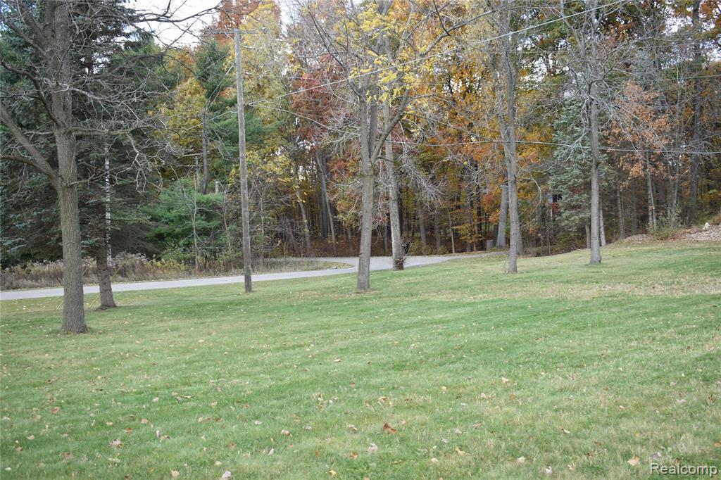 12955 Twyla Lane, Hartland, MI 48353 — Photo 38