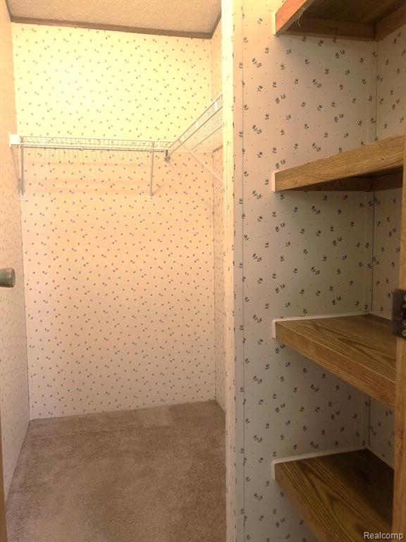614 Spruce Court, Jonesville, MI 49250 — Photo 22