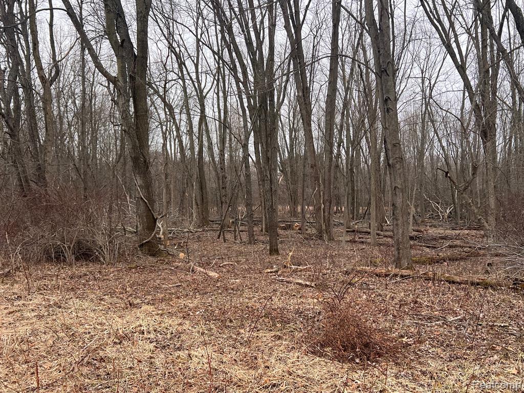 VL Washington Street, Perry, MI 48872 — Photo 18
