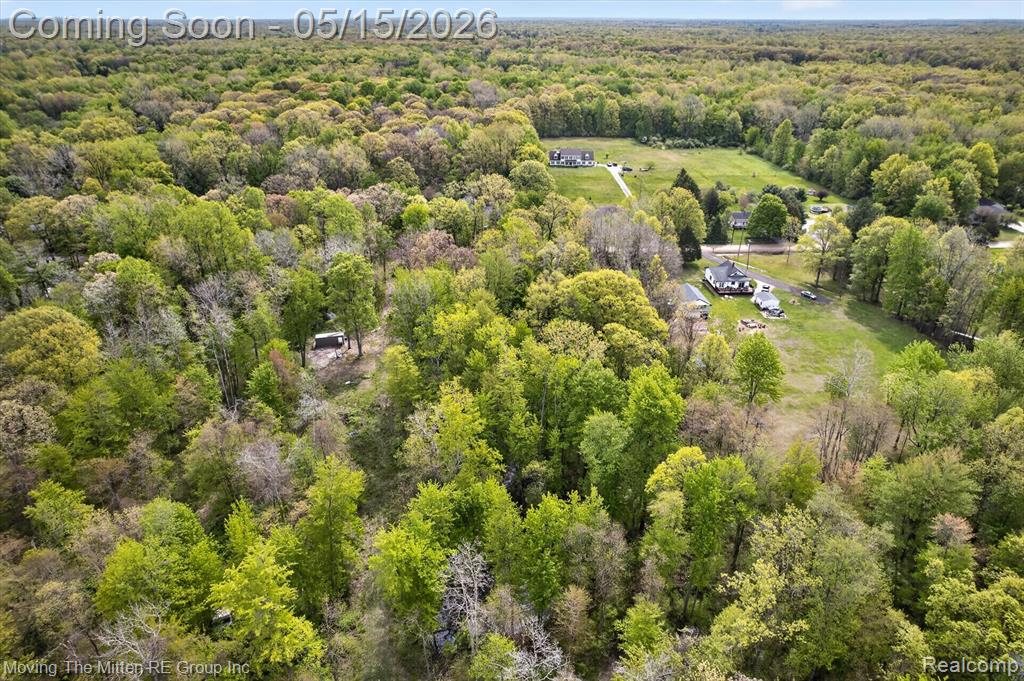 22530 Bohn Road, Belleville, MI 48111 — Photo 8